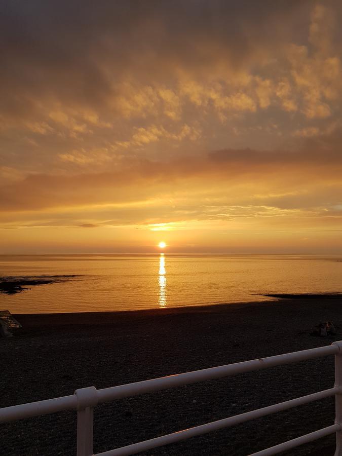 Parc Y Bryn Serviced Apartments Aberystwyth Ngoại thất bức ảnh